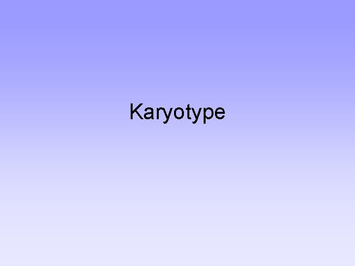 Karyotype 