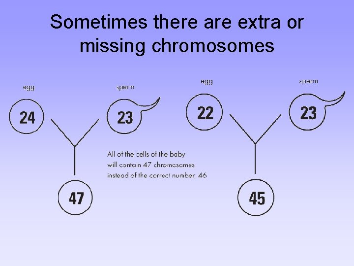 Sometimes there are extra or missing chromosomes 