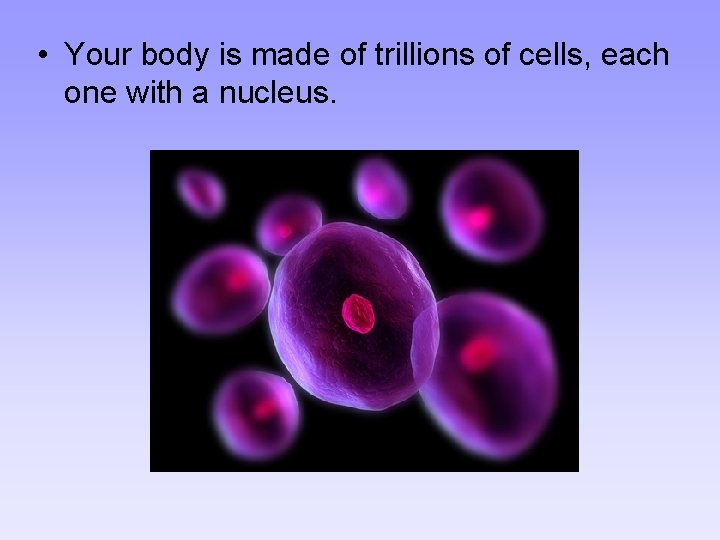  • Your body is made of trillions of cells, each one with a