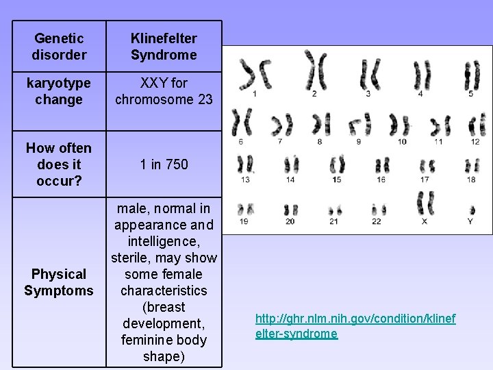 Genetic disorder Klinefelter Syndrome karyotype change XXY for chromosome 23 How often does it