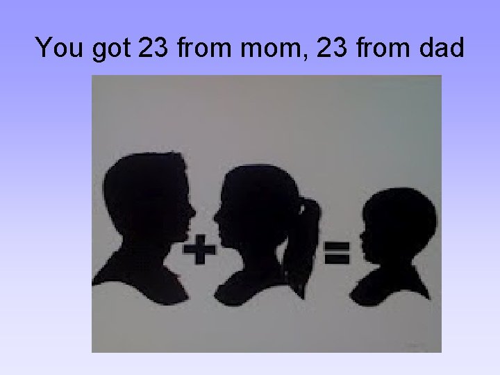 You got 23 from mom, 23 from dad 