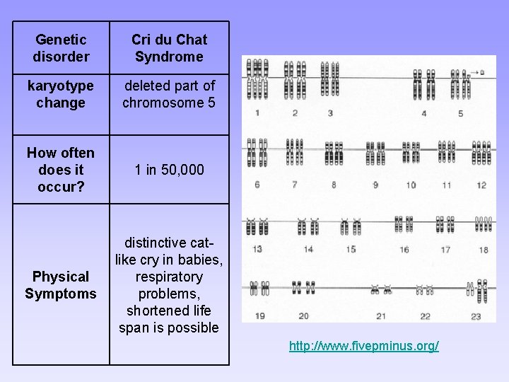 Genetic disorder Cri du Chat Syndrome karyotype change deleted part of chromosome 5 How