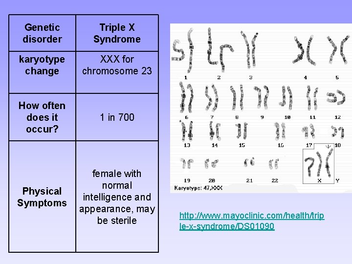 Genetic disorder Triple X Syndrome karyotype change XXX for chromosome 23 How often does