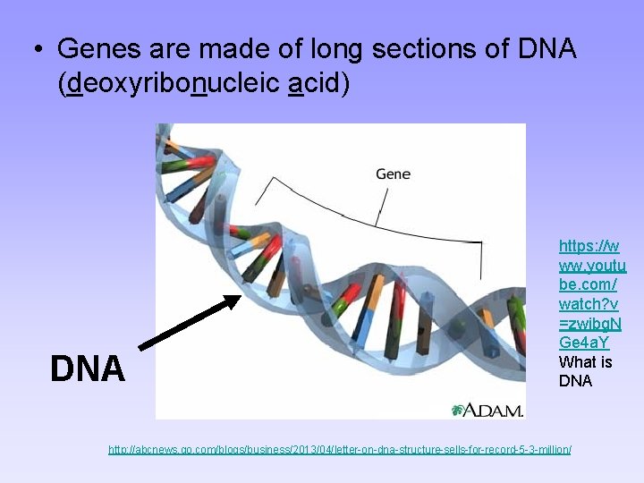  • Genes are made of long sections of DNA (deoxyribonucleic acid) DNA https: