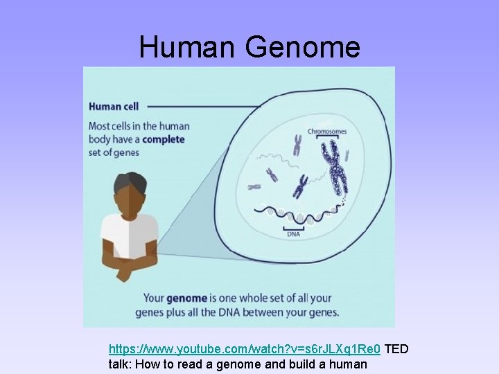 Human Genome https: //www. youtube. com/watch? v=s 6 r. JLXq 1 Re 0 TED