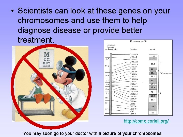  • Scientists can look at these genes on your chromosomes and use them