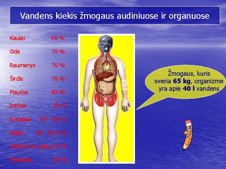 Vandens kiekis žmogaus audiniuose ir organuose Kaulai 45 % Oda 70 % Raumenys 76
