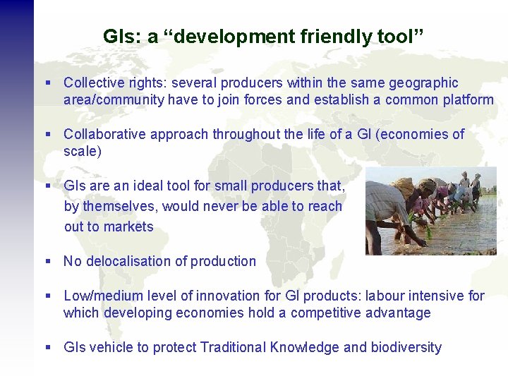 GIs: a “development friendly tool” § Collective rights: several producers within the same geographic
