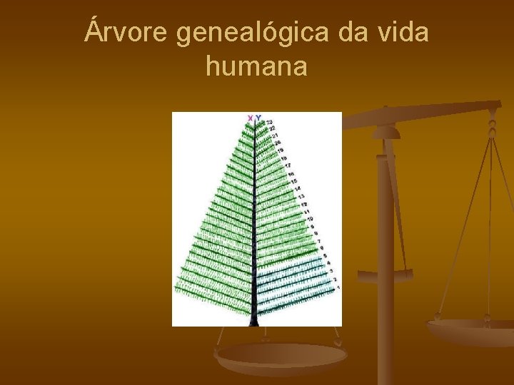 Árvore genealógica da vida humana 