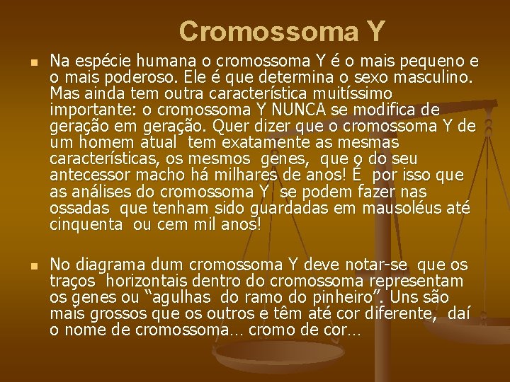  Cromossoma Y n n Na espécie humana o cromossoma Y é o mais