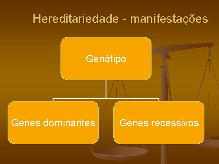 Hereditariedade - manifestações Genótipo Genes dominantes Genes recessivos 