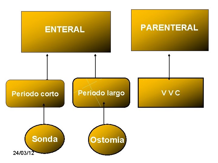 PARENTERAL Periodo corto Periodo largo Sonda Ostomía 24/03/12 VVC 