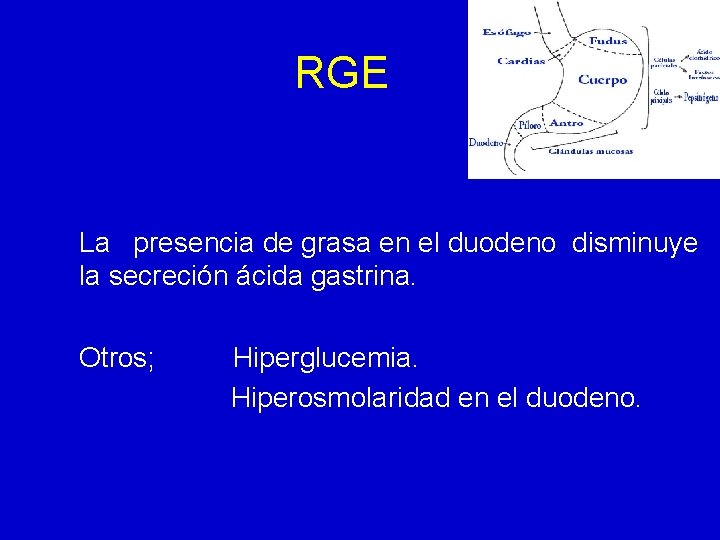 RGE La presencia de grasa en el duodeno disminuye la secreción ácida gastrina. Otros;