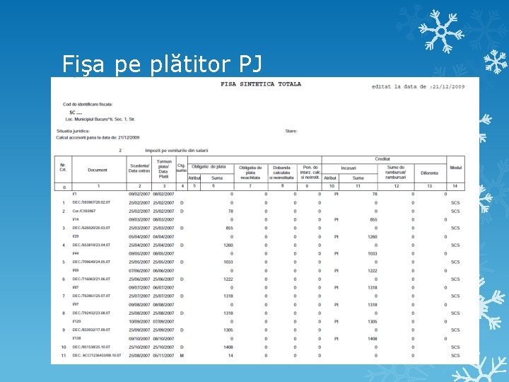 Fişa pe plătitor PJ Fişa pe plătitor PJ