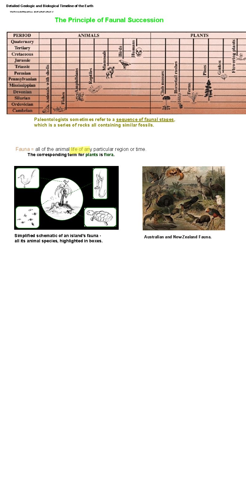 Detailed Geologic and Biological Timeline of the Earth http: //www. scientificpsychic. com/etc/timeline. html The