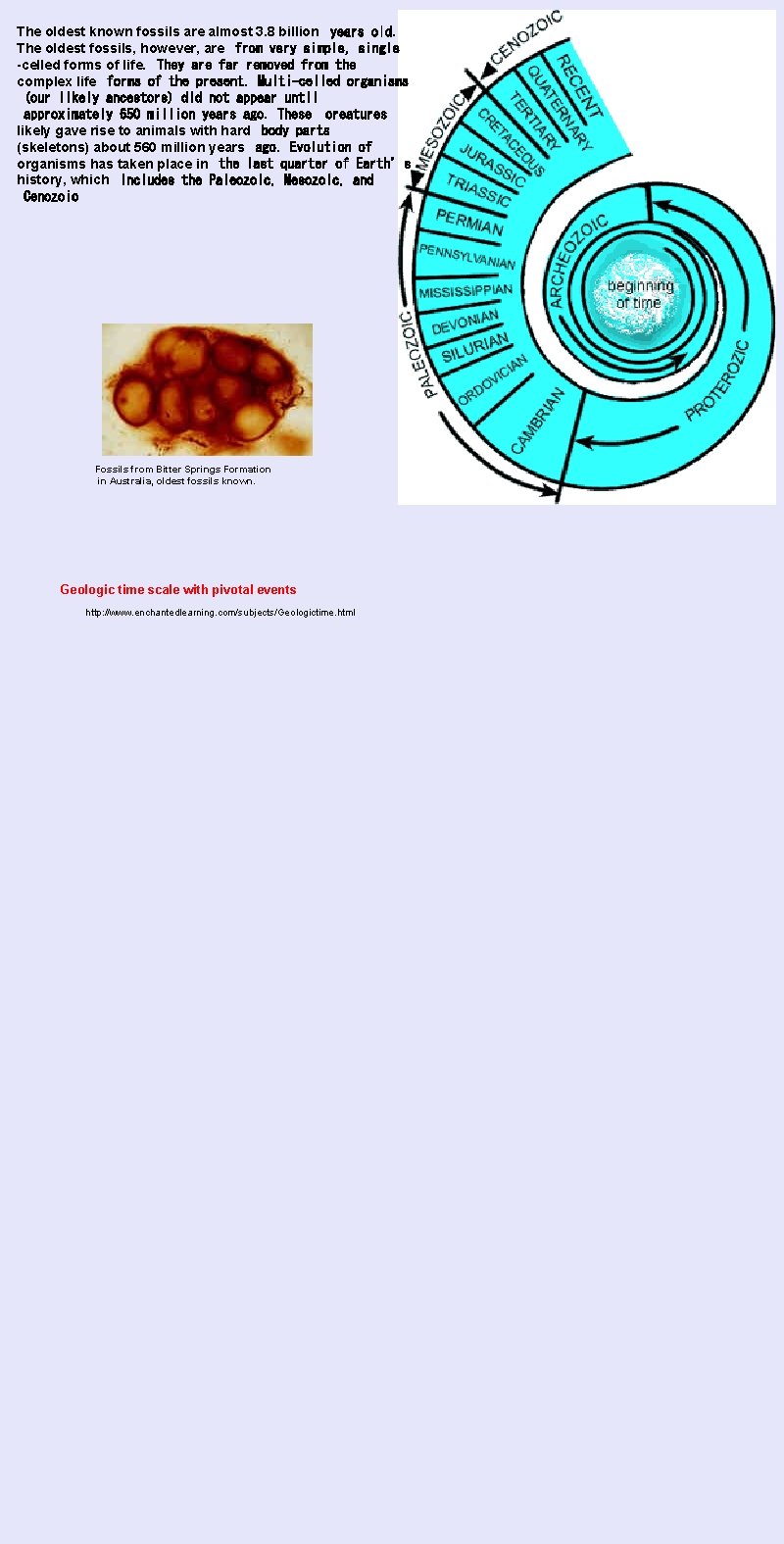 The oldest known fossils are almost 3. 8 billion  years old. The oldest fossils,