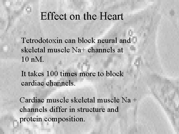 Effect on the Heart Tetrodotoxin can block neural and skeletal muscle Na+ channels at