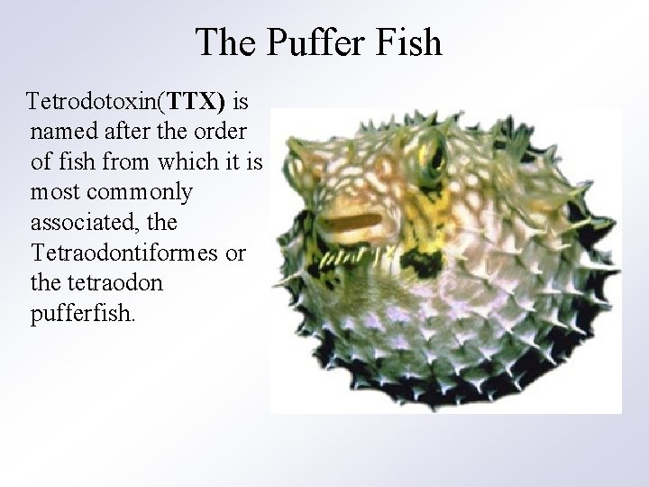 The Puffer Fish Tetrodotoxin(TTX) is named after the order of fish from which it