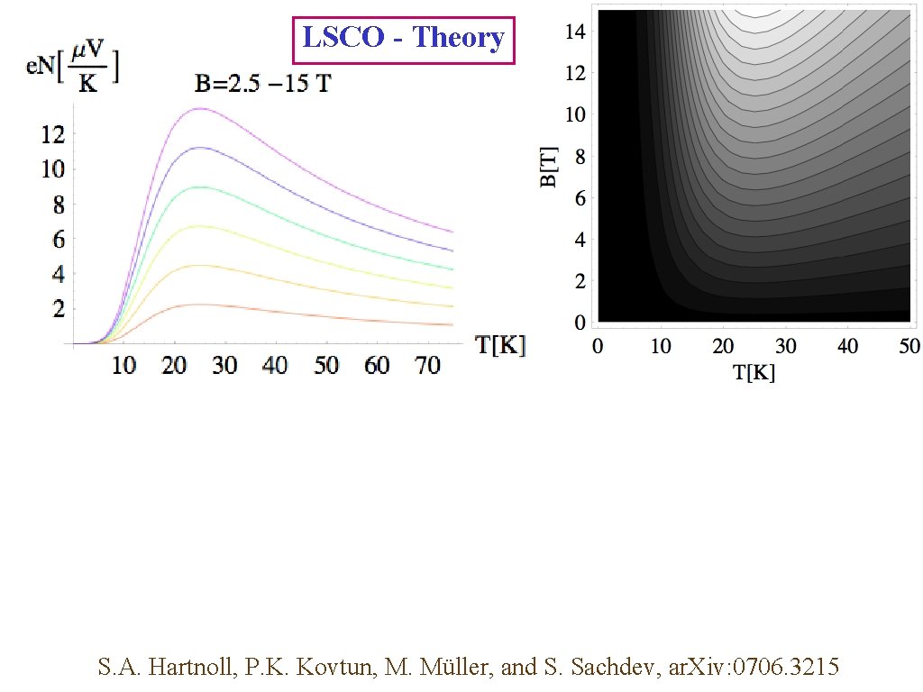 LSCO - Theory S. A. Hartnoll, P. K. Kovtun, M. Müller, and S. Sachdev,