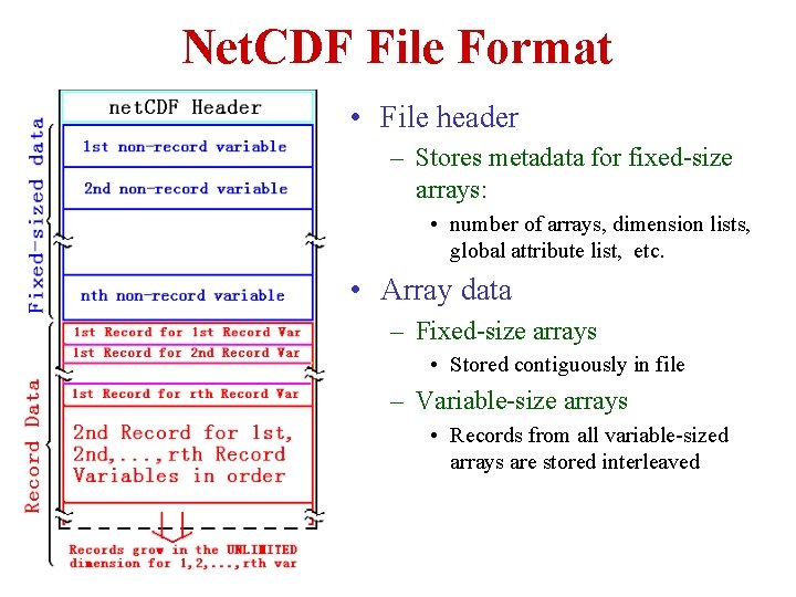 Net. CDF File Format • File header – Stores metadata for fixed-size arrays: • Net. CDF File Format • File header – Stores metadata for fixed-size arrays: •