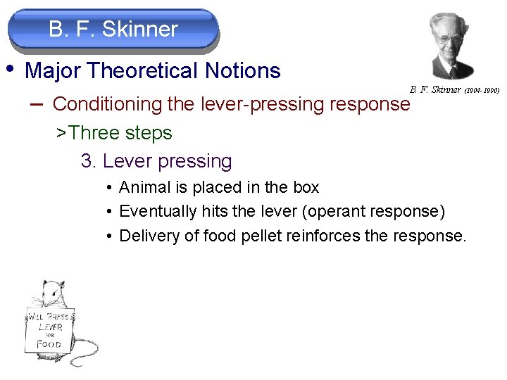 B. F. Skinner • Major Theoretical Notions B. F. Skinner (1904 -1990) – Conditioning