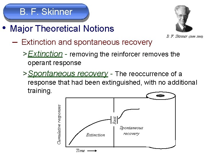 B. F. Skinner • Major Theoretical Notions – Extinction and spontaneous recovery B. F.