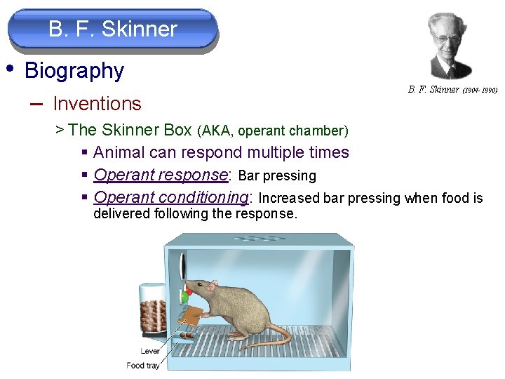 B. F. Skinner • Biography – Inventions B. F. Skinner (1904 -1990) > The