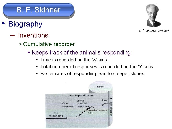 B. F. Skinner • Biography – Inventions B. F. Skinner (1904 -1990) > Cumulative