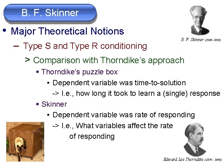 B. F. Skinner • Major Theoretical Notions B. F. Skinner (1904 -1990) – Type