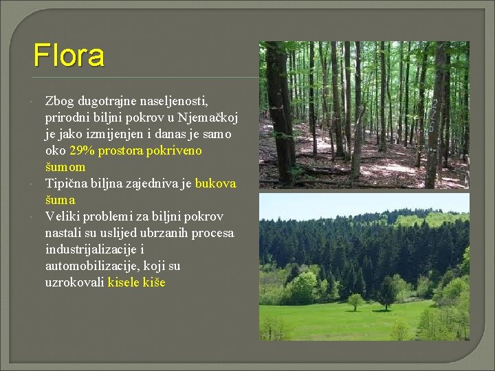 Flora Zbog dugotrajne naseljenosti, prirodni biljni pokrov u Njemačkoj je jako izmijenjen i danas