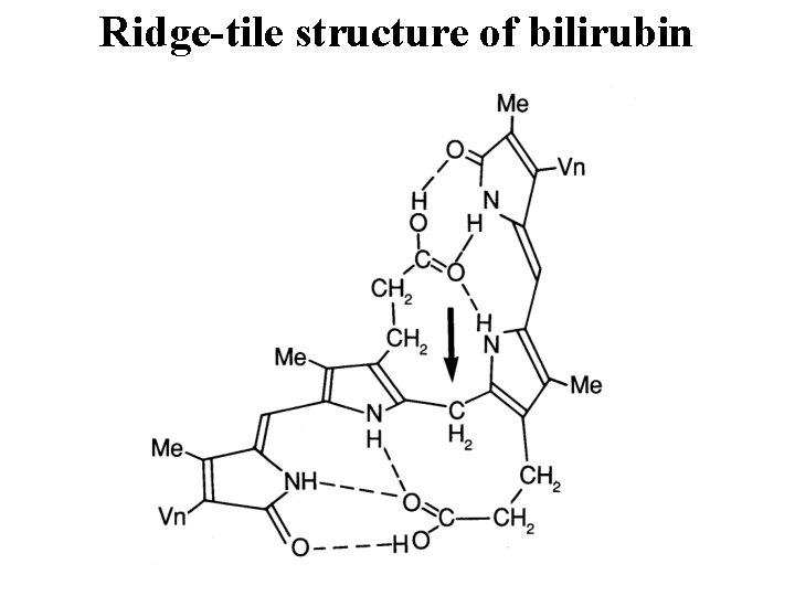 Ridge-tile structure of bilirubin 