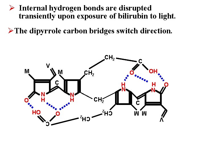 Ø Internal hydrogen bonds are disrupted transiently upon exposure of bilirubin to light. ØThe