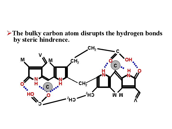 ØThe bulky carbon atom disrupts the hydrogen bonds by steric hindrence. CH 2 N