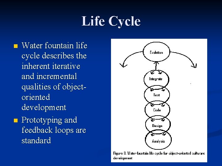 Life Cycle n n Water fountain life cycle describes the inherent iterative and incremental