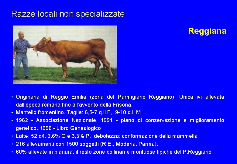 Razze locali non specializzate Reggiana • Originaria di Reggio Emilia (zona del Parmigiano Reggiano).