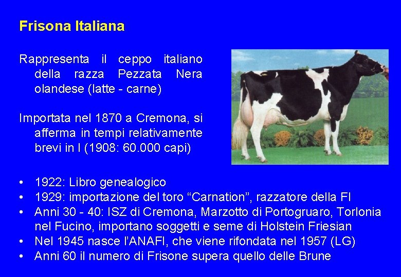Frisona Italiana Rappresenta il ceppo italiano della razza Pezzata Nera olandese (latte - carne)