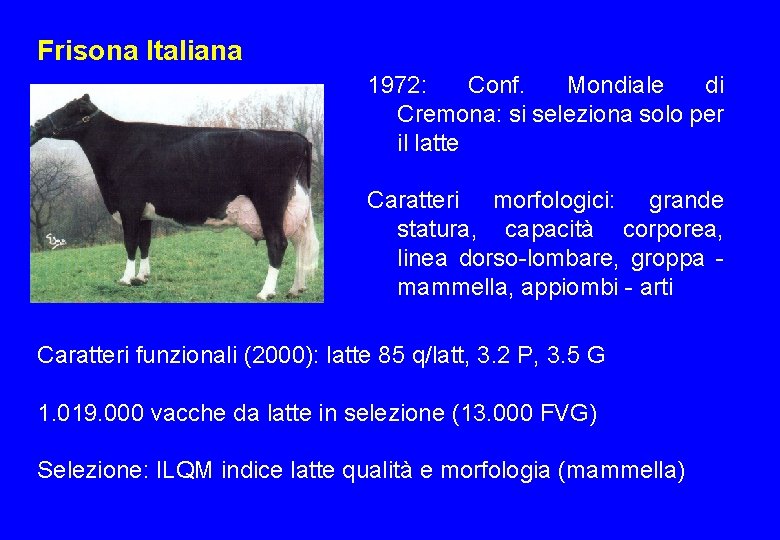 Frisona Italiana 1972: Conf. Mondiale di Cremona: si seleziona solo per il latte Caratteri