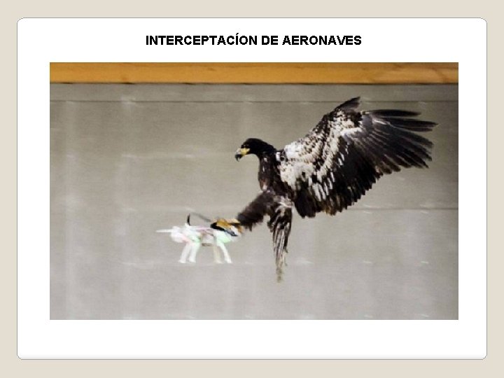 INTERCEPTACÍON DE AERONAVES 