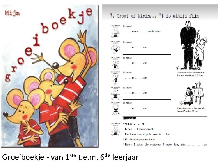 Groeiboekje - van 1 ste t. e. m. 6 de leerjaar 