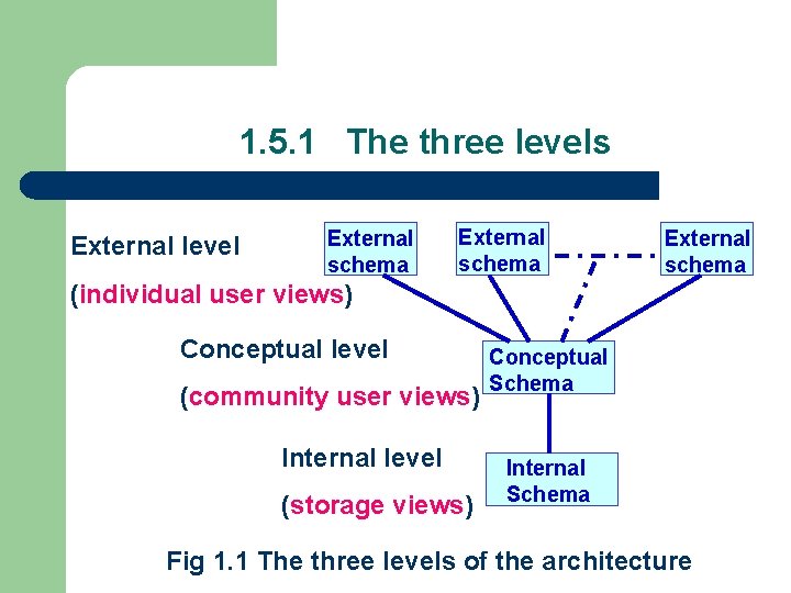 1. 5. 1 The three levels External level External schema (individual user views) Conceptual