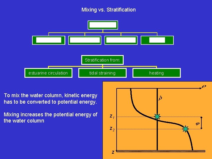 Mixing vs. Stratification from: estuarine circulation tidal straining To mix the water column, kinetic