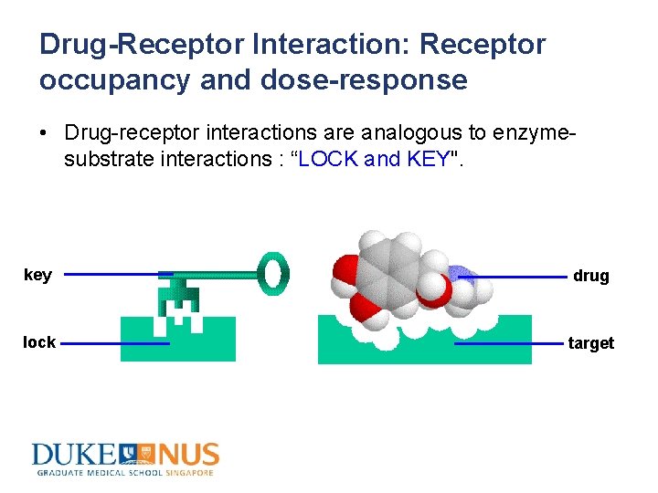 Drug-Receptor Interaction: Receptor occupancy and dose-response • Drug-receptor interactions are analogous to enzymesubstrate interactions