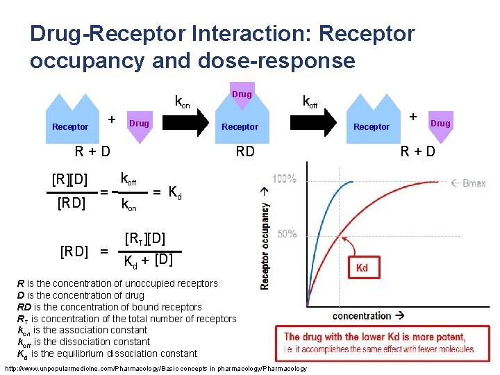Drug-Receptor Interaction: Receptor occupancy and dose-response kon Receptor + Drug [RD] = koff Receptor