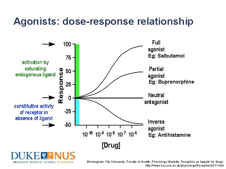Agonists: dose-response relationship Eg: Salbutamol Eg: Buprenorphine Eg: Antihistamine Birmingham City University, Faculty of
