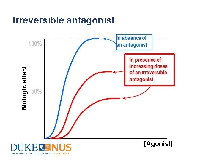 Biologic effect Irreversible antagonist [Agonist] 
