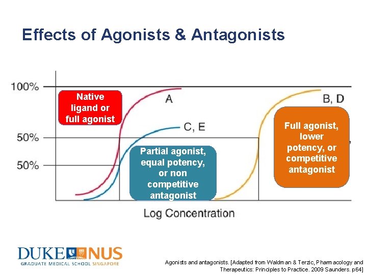 Effects of Agonists & Antagonists Native ligand or full agonist Partial agonist, equal potency,