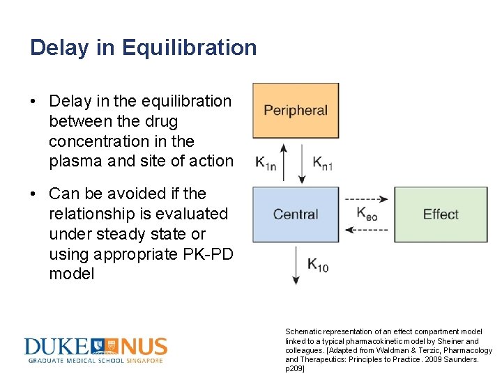 Delay in Equilibration • Delay in the equilibration between the drug concentration in the