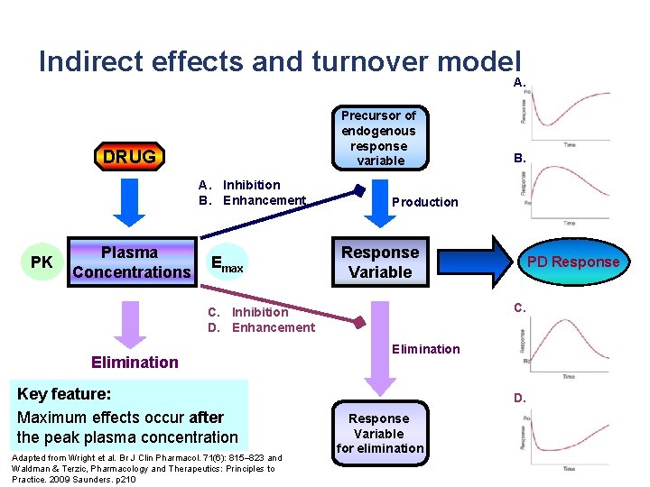Indirect effects and turnover model A. Precursor of endogenous response variable DRUG A. Inhibition