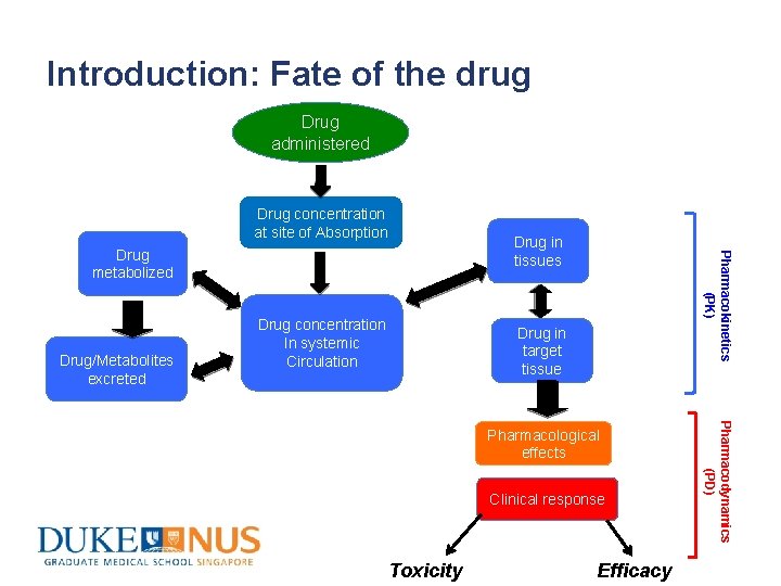 Introduction: Fate of the drug Drug administered Drug concentration at site of Absorption Drug/Metabolites