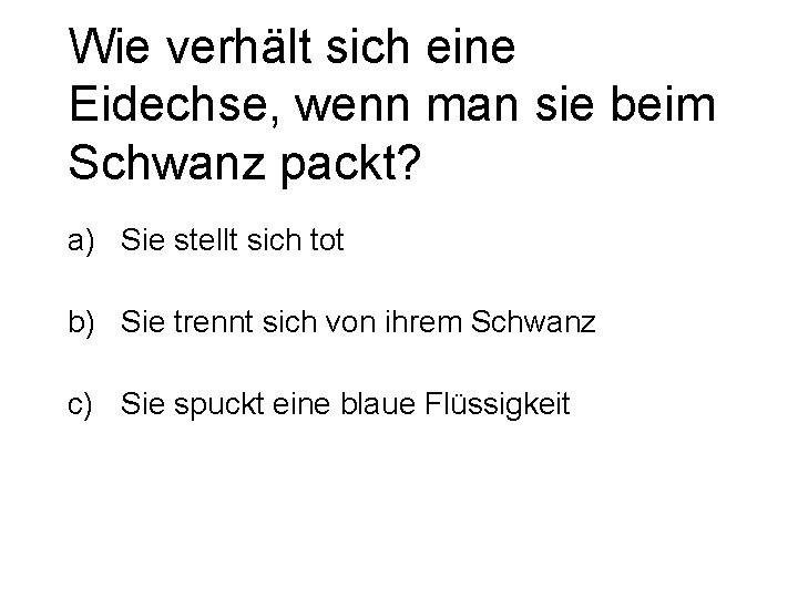 Wie verhält sich eine Eidechse, wenn man sie beim Schwanz packt? a) Sie stellt